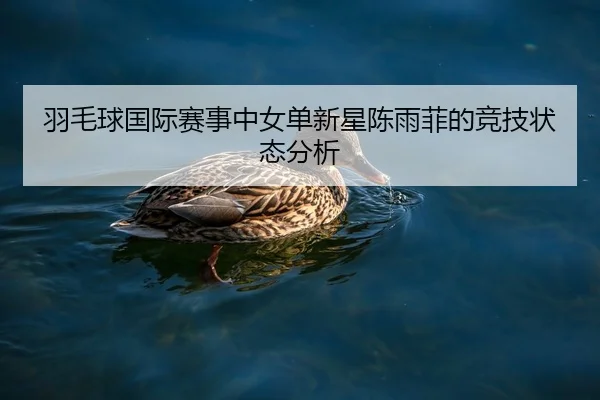 羽毛球国际赛事中女单新星陈雨菲的竞技状态分析