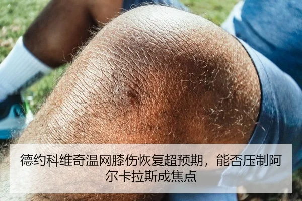 德约科维奇温网膝伤恢复超预期，能否压制阿尔卡拉斯成焦点